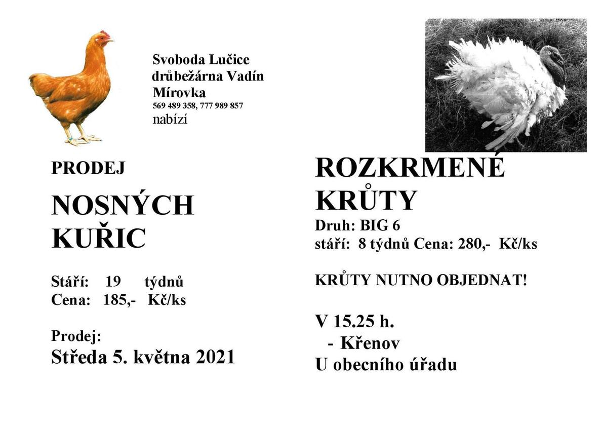 Křenov K+KR 2021-page-001.jpg